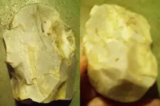rock.webp