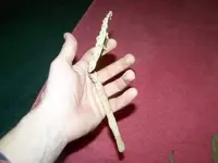 what are they relics 167.webp