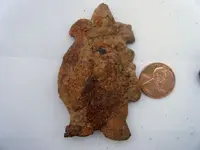 DSCF4947.webp
