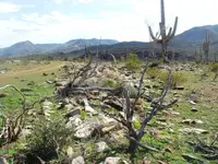 Las Vegas and Slate creek 229.webp