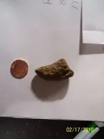 fossil6.webp