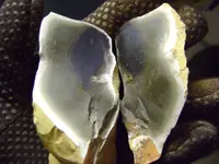 phpaRMwWAPM.webp