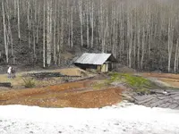 2009_0502dogspairie0047.webp