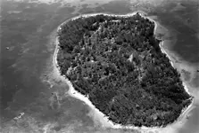 wreckswisteriaislkeywest.webp