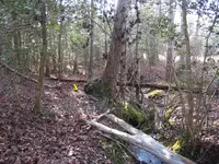 Site215.webp