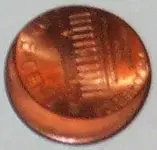 penny back.webp