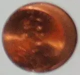 penny front.webp