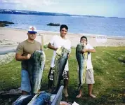 Fishing2.webp
