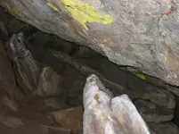 rocks thrown in.webp