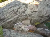 resting on these rocks.webp