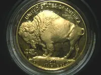 Buffalo 001.webp