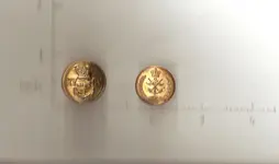 buttons 2.webp