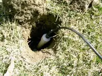 sunray probe in hole.webp