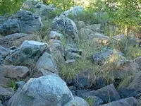 Climbing to the top WI River.webp