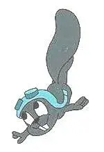 rockysquirrel.webp