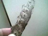 piece of aircraft w rivets.webp