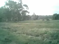 yankee hill001.webp