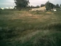yankee hill004.webp