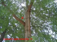 Img_0113a.webp