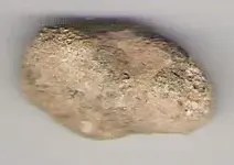 rock_side1.webp