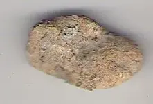 rock_side2.webp