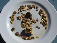 DSCF1236.webp