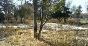 DSC00109.webp