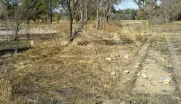 DSC00110.webp