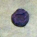 DSC01035.webp