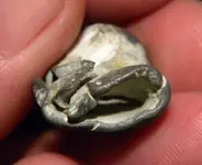 DSCN0561.webp