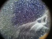 0207001109[1].webp