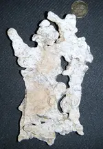 DSCF5427.webp