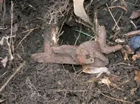 DSCN3624.webp