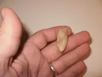 flint3.webp