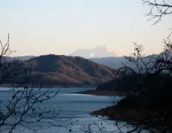 shasta10.webp