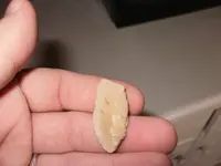 flint5.webp