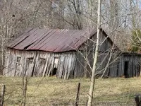 Metal Detecting in KY 012.webp