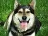 avatar_34429.webp