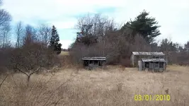 the end of field.webp