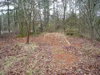 DSCN3640.webp