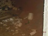 DSCN3630.webp