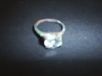 S4010267.webp