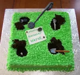 cake (2).webp