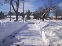 driveway (1040 x 772).webp