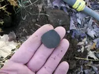 MARCH 10TH COLONIAL  CELLAR HOLE SOLO HUNT 001 [].webp