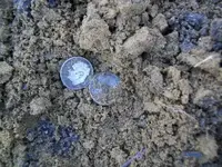 MARCH 10TH COLONIAL  CELLAR HOLE SOLO HUNT 003 [].webp