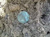 MARCH 10TH COLONIAL  CELLAR HOLE SOLO HUNT 005 [].webp