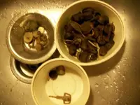 MARCH 10TH COLONIAL  CELLAR HOLE SOLO HUNT 008 [].webp