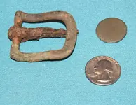 buckle and button.webp