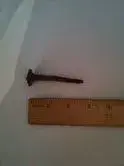 spike.webp